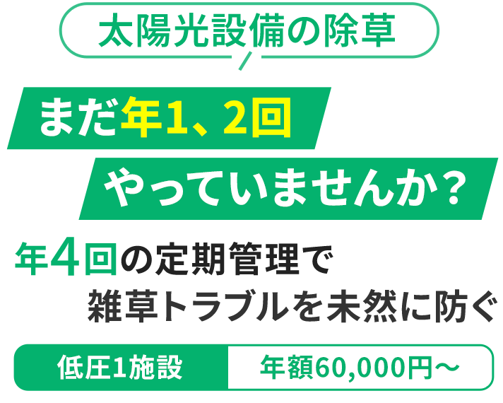 太陽光設備の除草まだ年1、2回やっていませんか?年4回の定期管理で雑草トラブルを未然に防ぐ。低圧1施設年額60,000円〜。